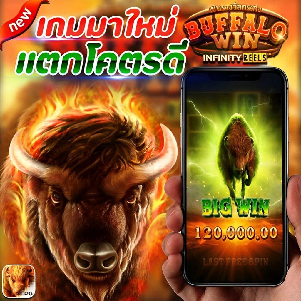 d55 แพลตฟอร์มเกมคาสิโนออนไลน์ มาตรฐานสูง เดิมพันง่ายจบในเว็บเดียว