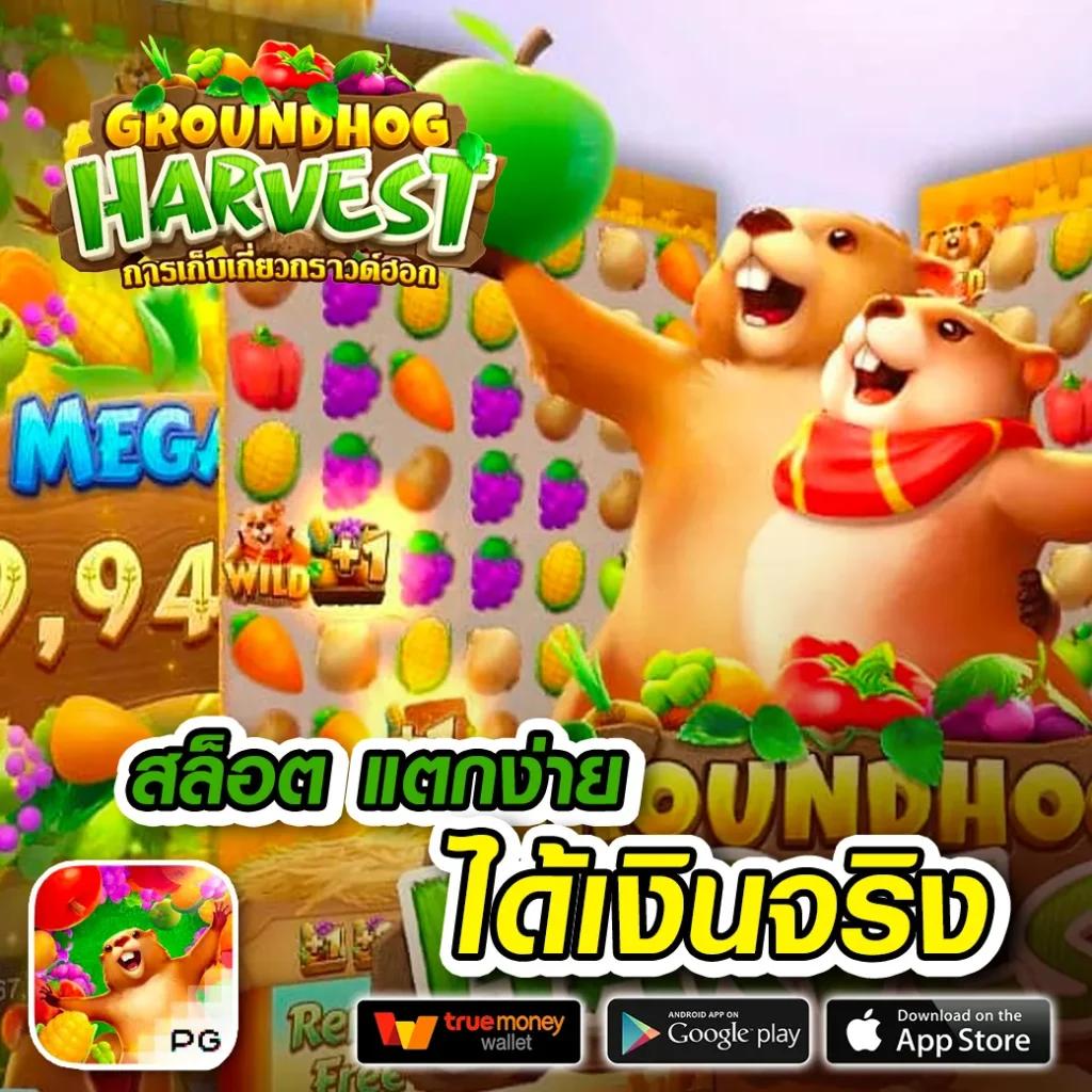 huaysong ฮานอย เว็บตรง สล็อต ฝากถอนออโต้ ไม่ผ่านเอเย่นต์ 2026