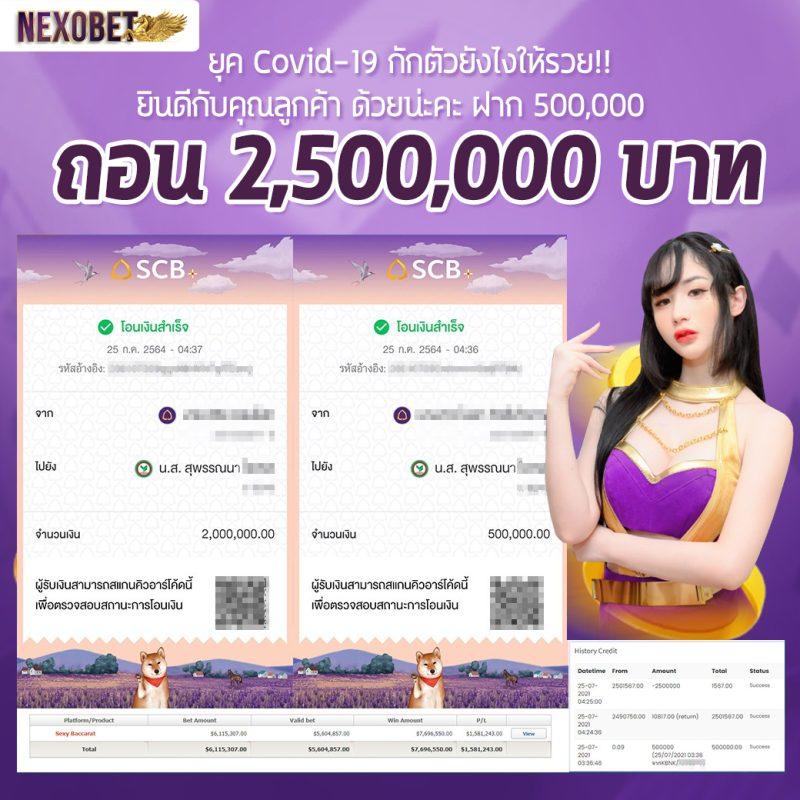 ทางเข้า pgplay168 คาสิโนสนุกครบครัน พร้อมเดิมพันสุดมันส์ล่าสุด
