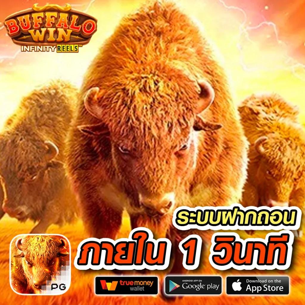 เดิมพัน 888 ผลบอลสด ตื่นเต้นทุกนัด ครบจบในเว็บเดียว